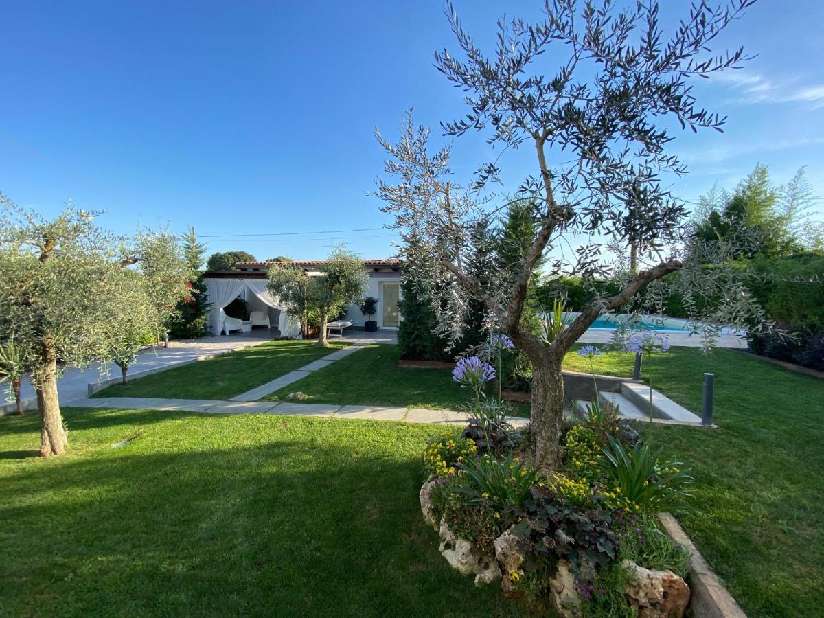 Mincio Relais Bed and Breakfast Castelnuovo del Garda Exteriör bild